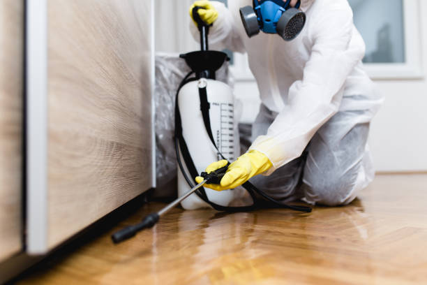 Best Mosquito Control Services  in Mcewen, TN