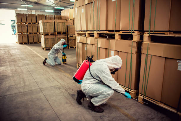 Best Termite Control Services  in Mcewen, TN