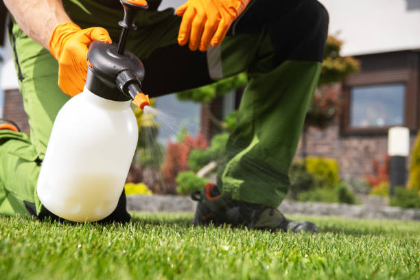 Best Wildlife Control Services  in Mcewen, TN