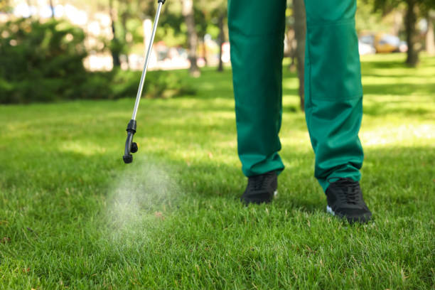 Best Pest Control Near Me  in Mcewen, TN