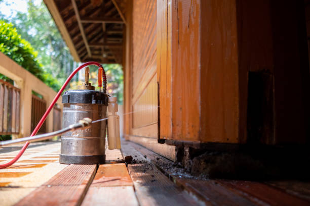Pest Control for Restaurants in Mcewen, TN